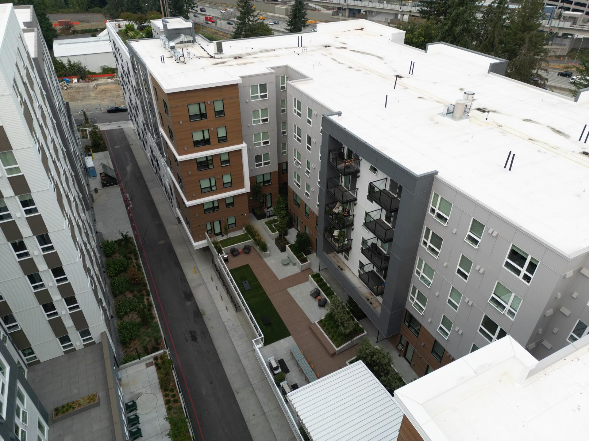 The Line Apartments 5